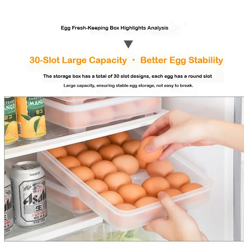 Scatola portauova in plastica  - Meal Prep Containers Xl recensione e prezzo